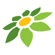 APK IJO MOD